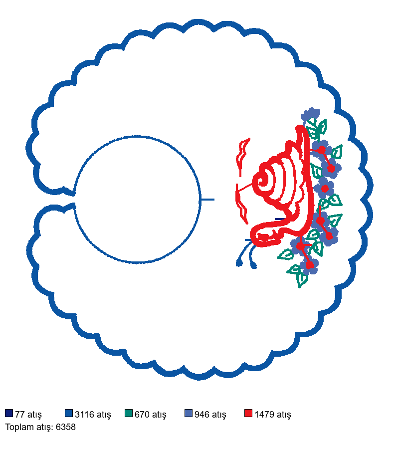 11968 nakış deseni