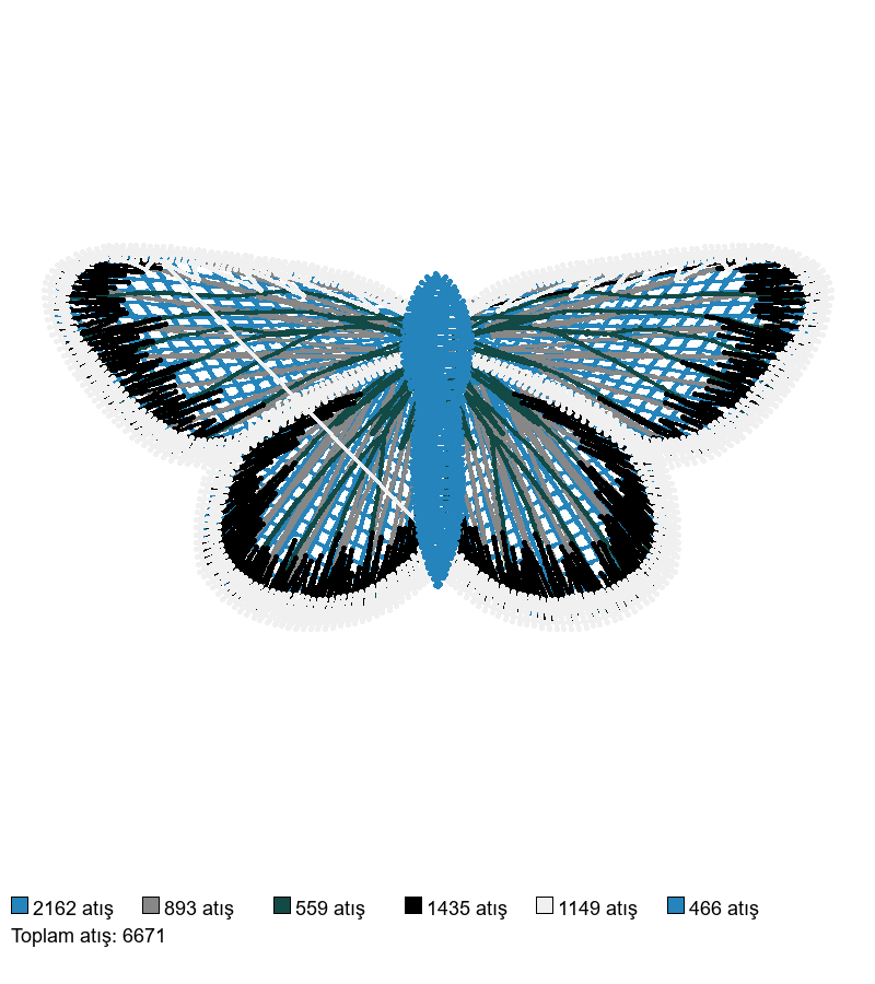 12454-14 nakış deseni