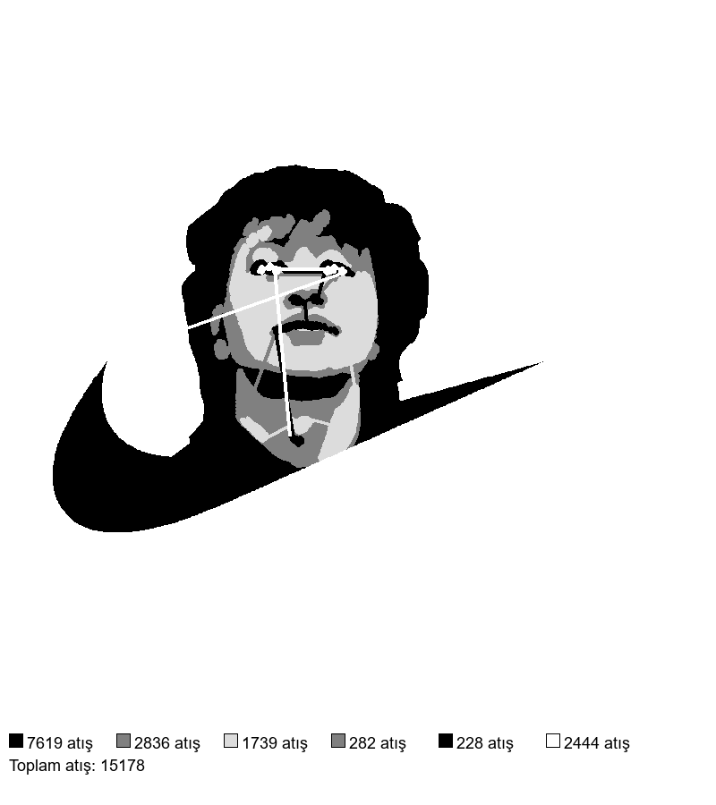 167 Nike Coy nakış deseni