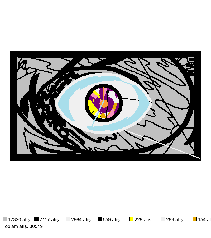2413 nakış deseni