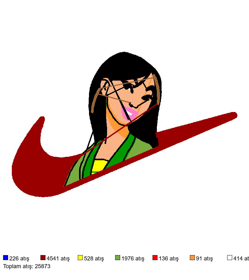 2446 nakış deseni