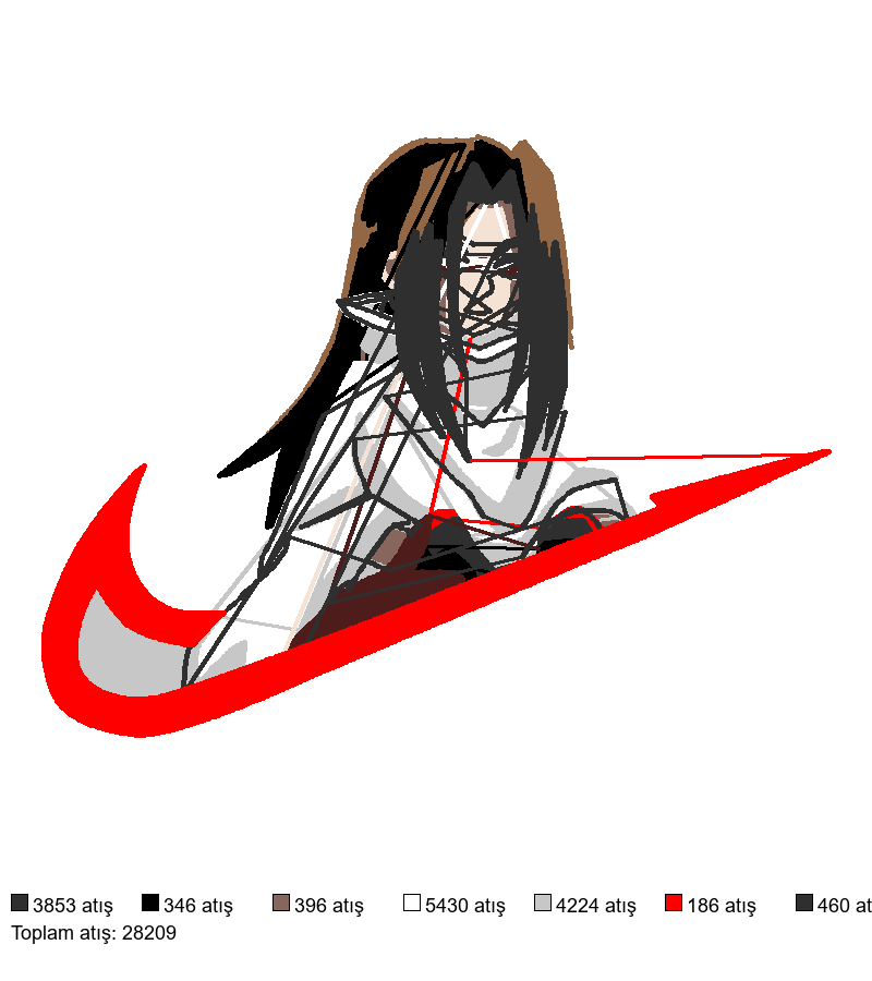 641 nakış deseni